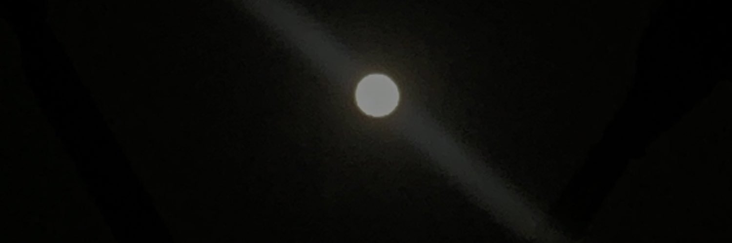 Roaringg_'s profile banner image