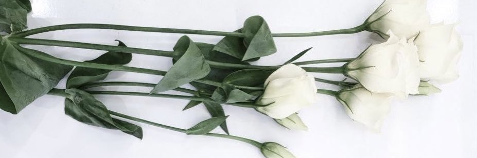 | Y A S S M E E N | banner