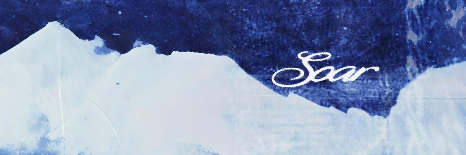 van. 🪽 banner