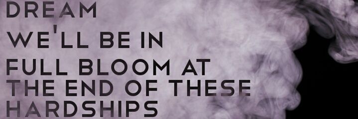 ve banner