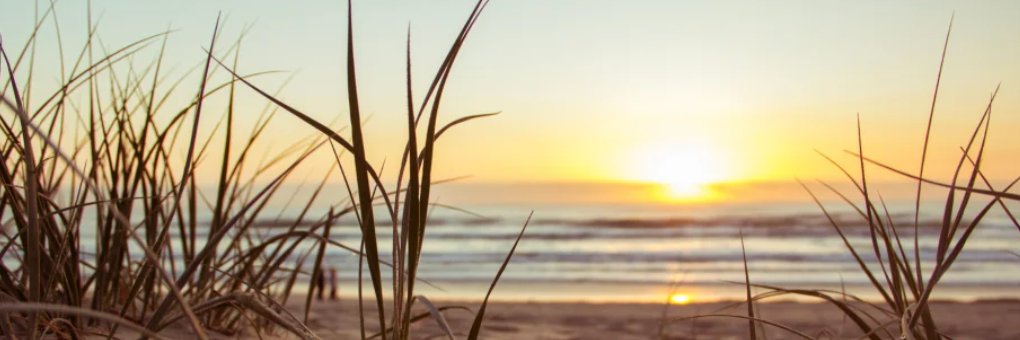 ChelseaRobson's profile banner image