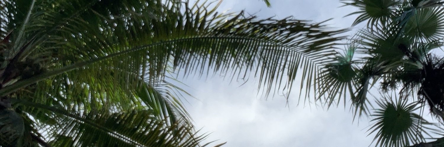 thearimoore's profile banner image