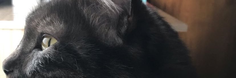 rnfwtz's profile banner image