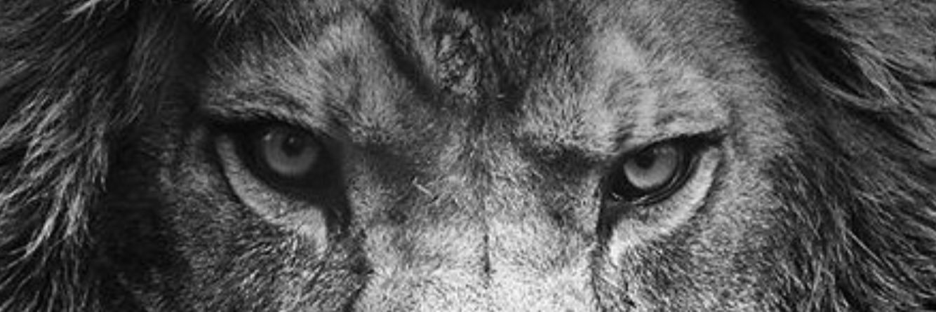 kidddneymarrr17's profile banner image