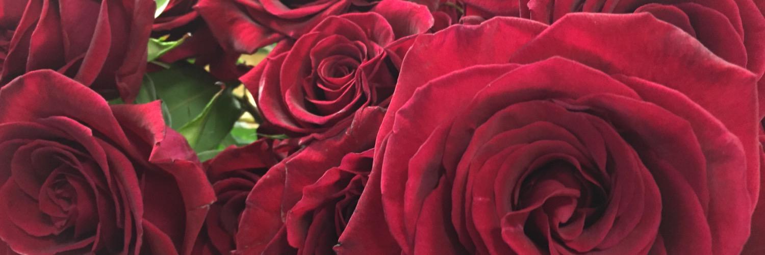 Region6Gardens's profile banner image