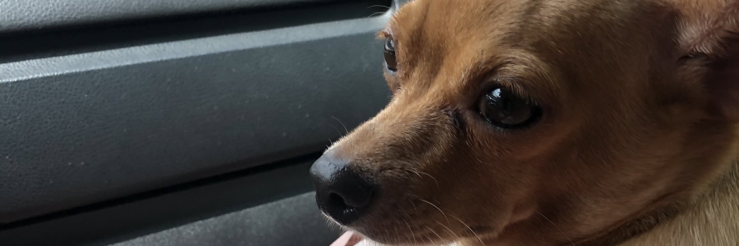 mariaharnie's profile banner image