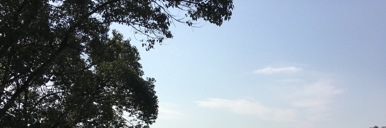 hongfenglt's profile banner image