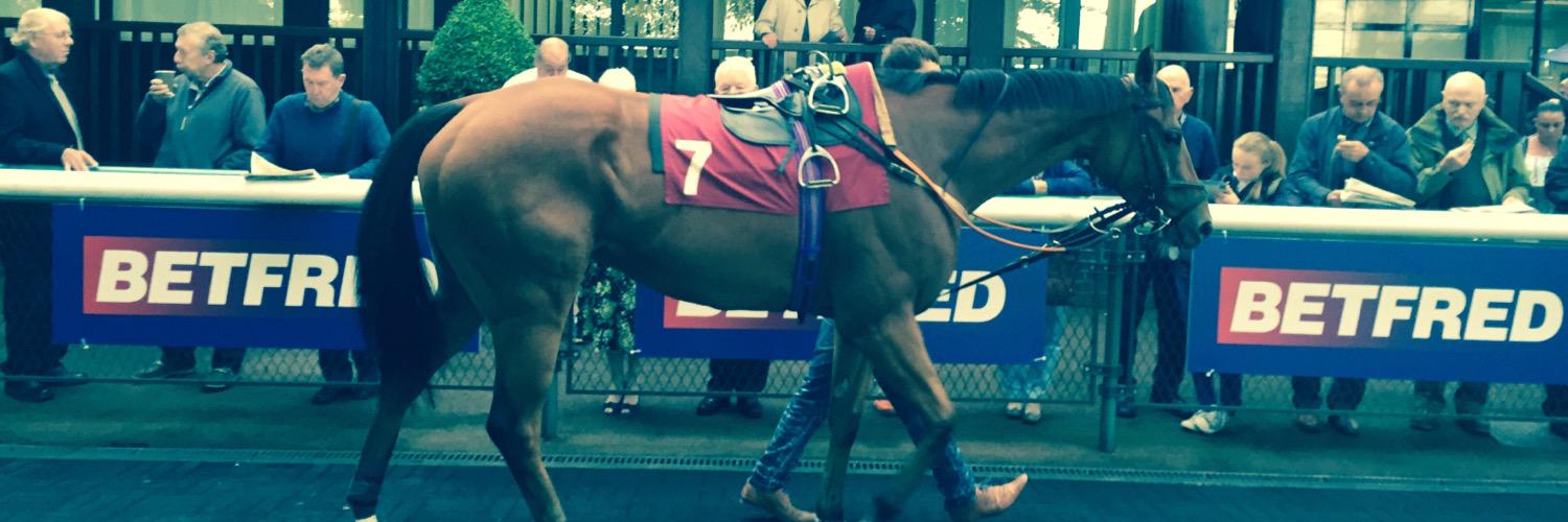 Andrew Staines banner