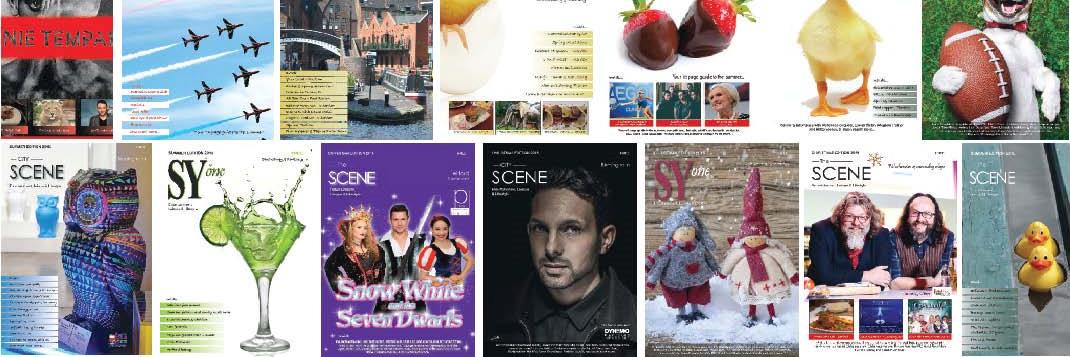 SceneBrum's profile banner image