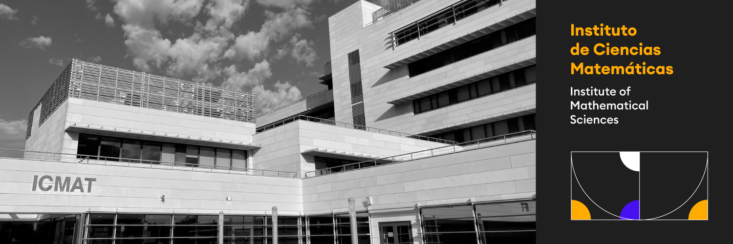 Inst. de Cc. Matemáticas banner