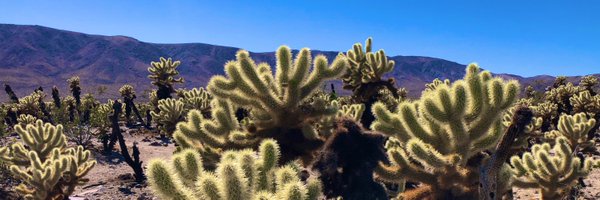 sanchezradio_ Profile Banner