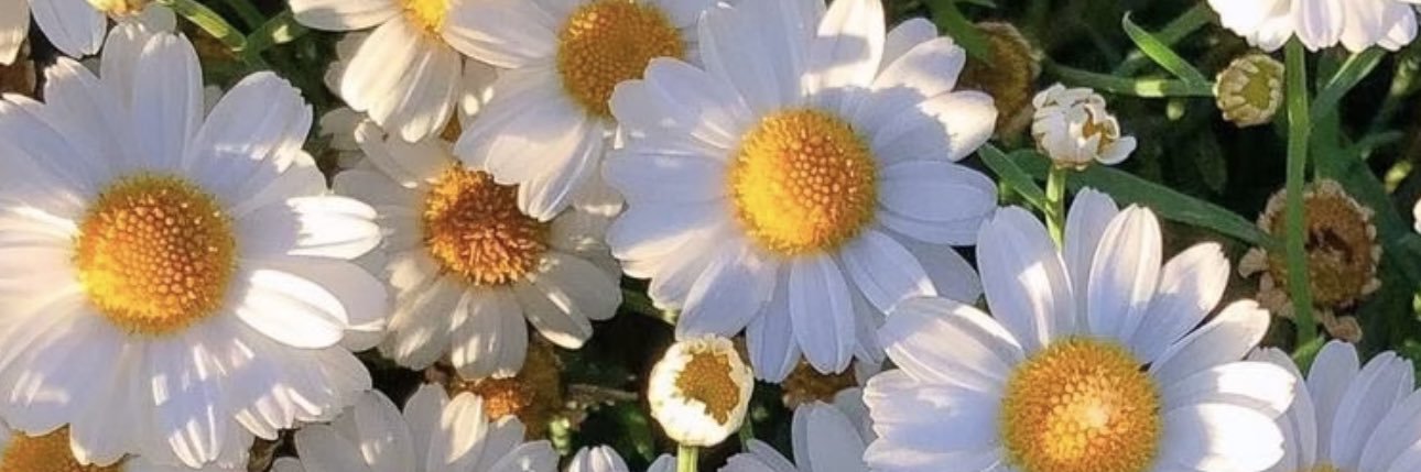 da____yama69's profile banner image