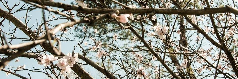 belu_rt's profile banner image