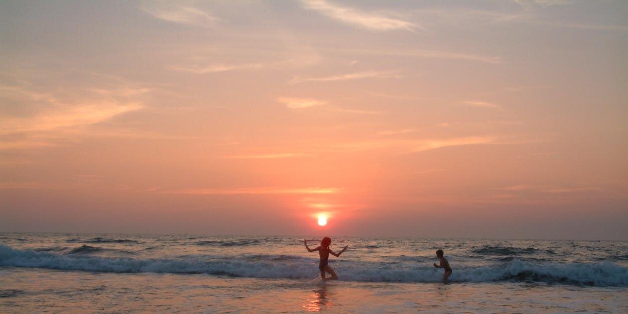 Fotini Ellwood banner