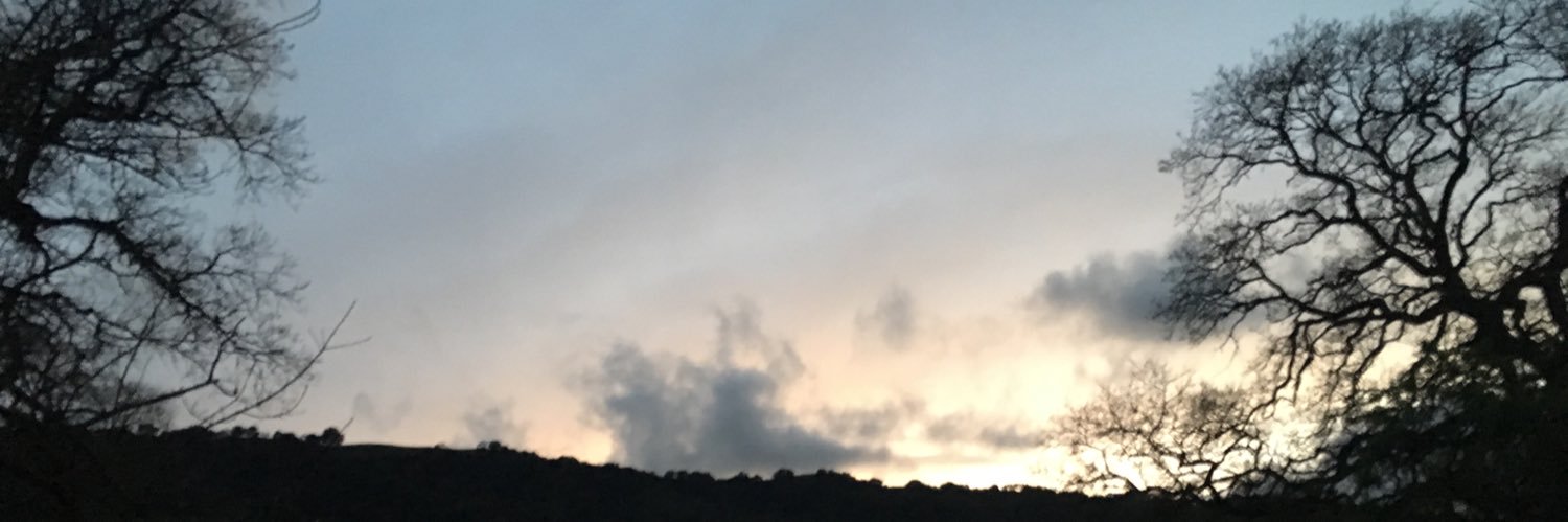 NM10923's profile banner image
