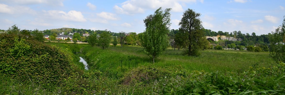 Jonlet raymond banner