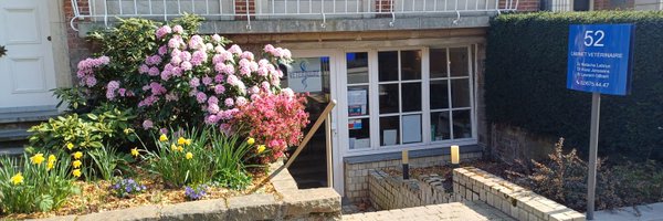 Doc_Natacha Profile Banner