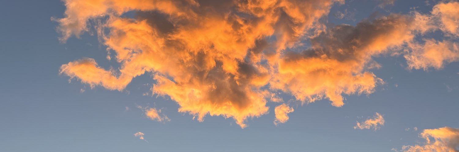 RedRock_Man's profile banner image