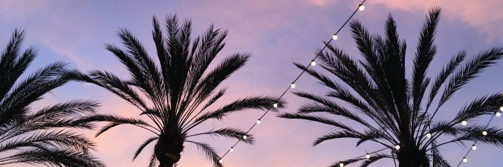 Maggie Stewart #BlackLivesMatter banner