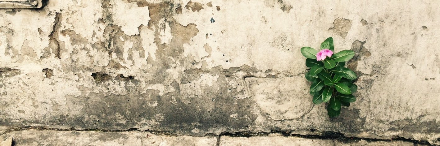 scelomd's profile banner image