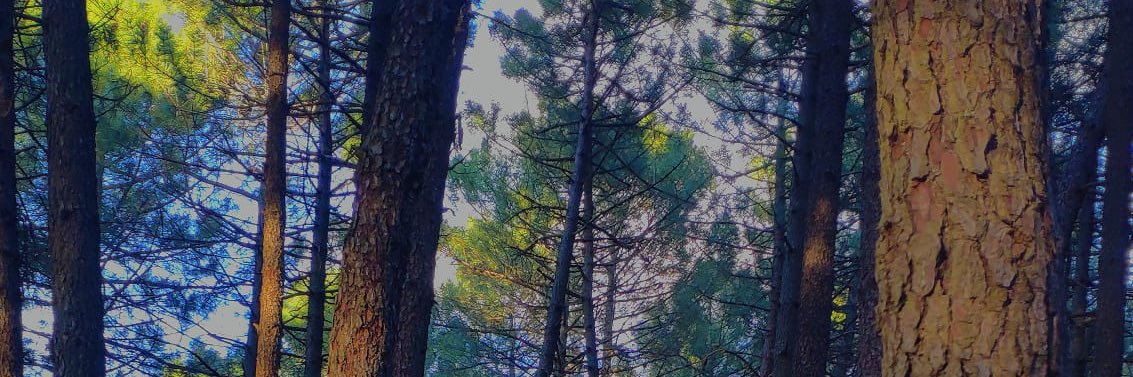 joseesprz's profile banner image