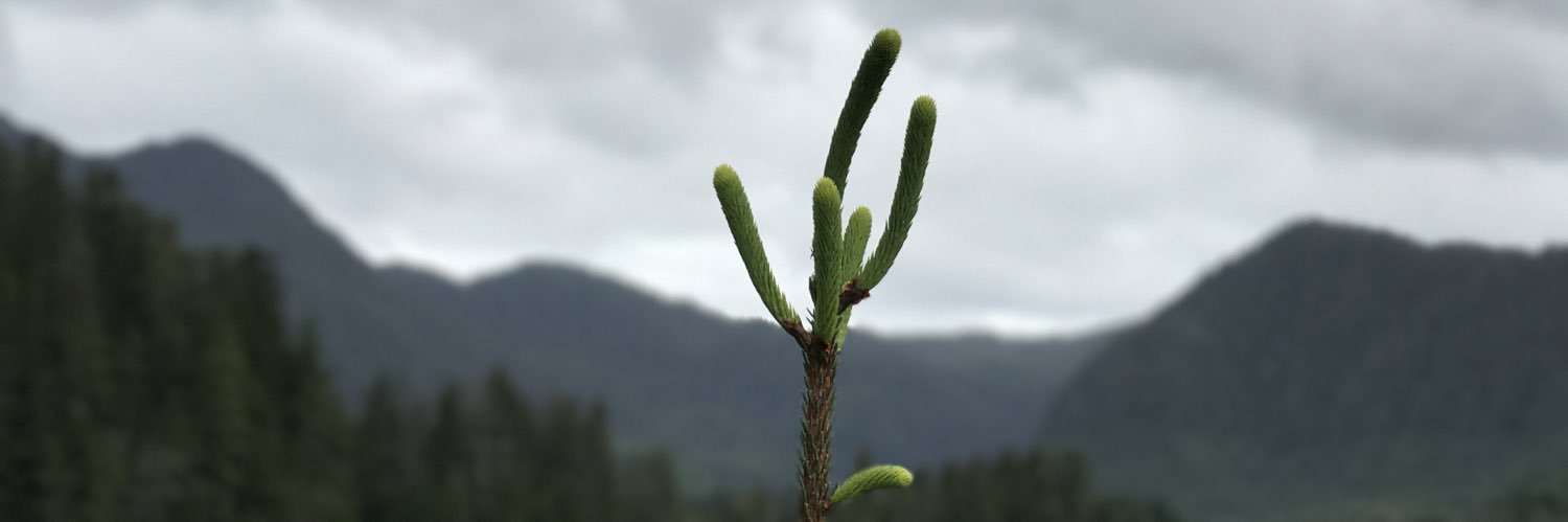 ylevenstein's profile banner image