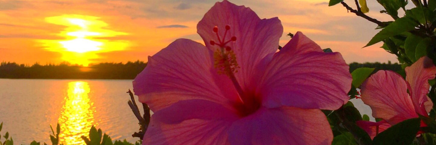 LilYikes's profile banner image