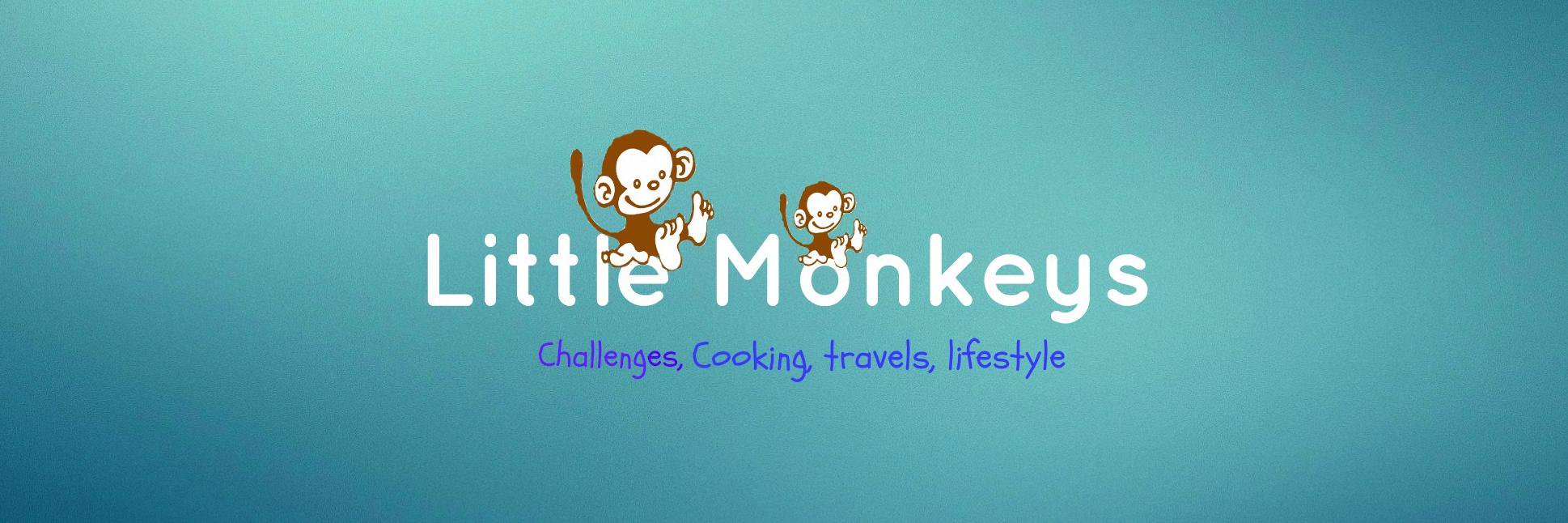 LittleMonkeys95's profile banner image