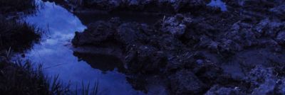 camyflage's profile banner image