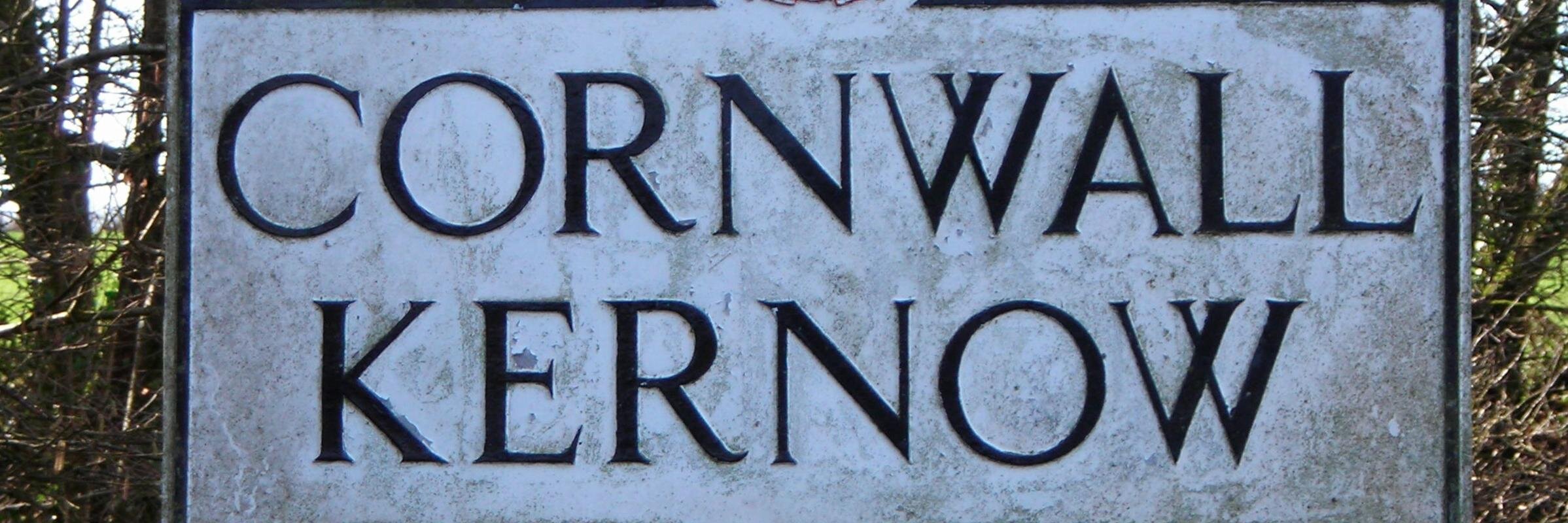 Cornish Assembly banner