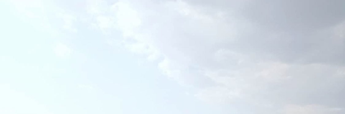 Brazjlf's profile banner image