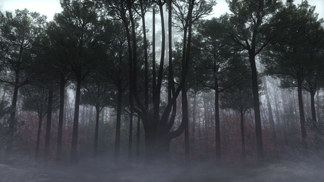 eligoqui's profile banner image