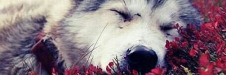 mruveyda's profile banner image