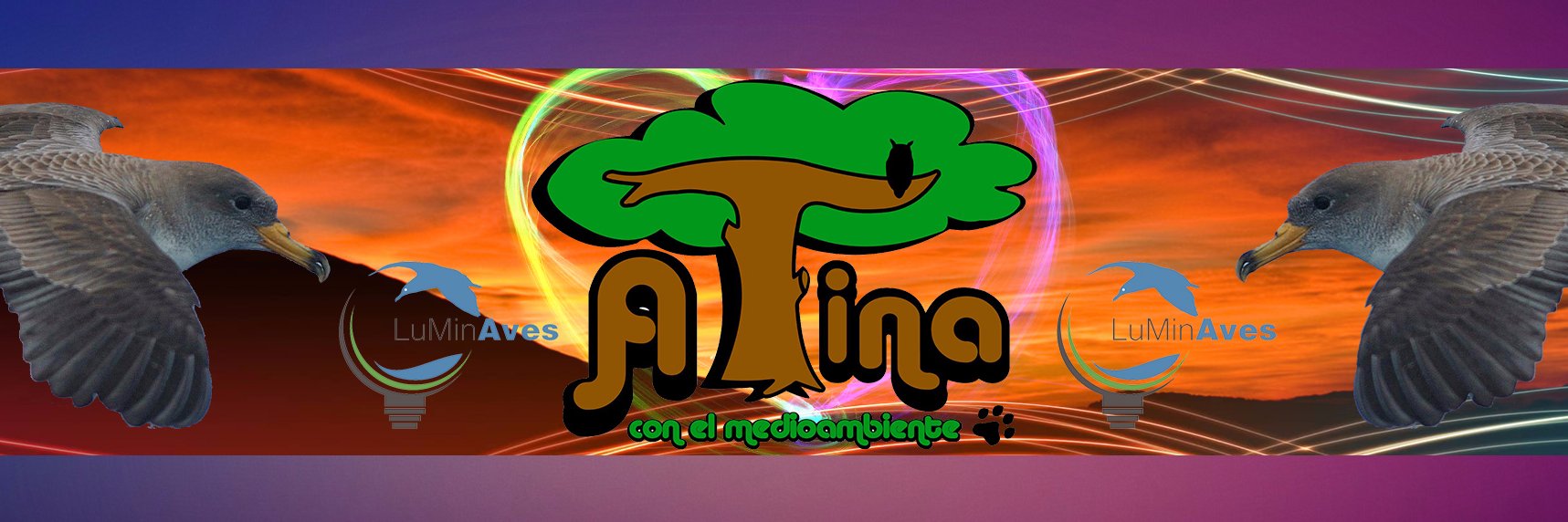 ATINAconelmedio's profile banner image