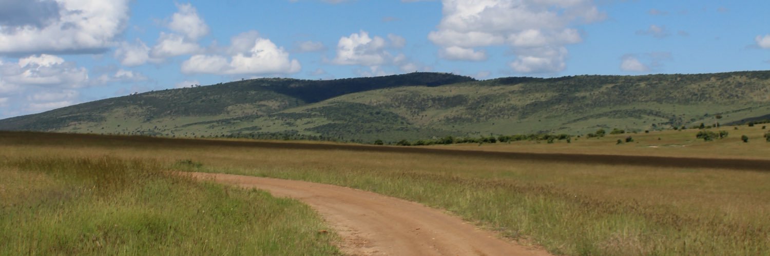 pilargregorio's profile banner image