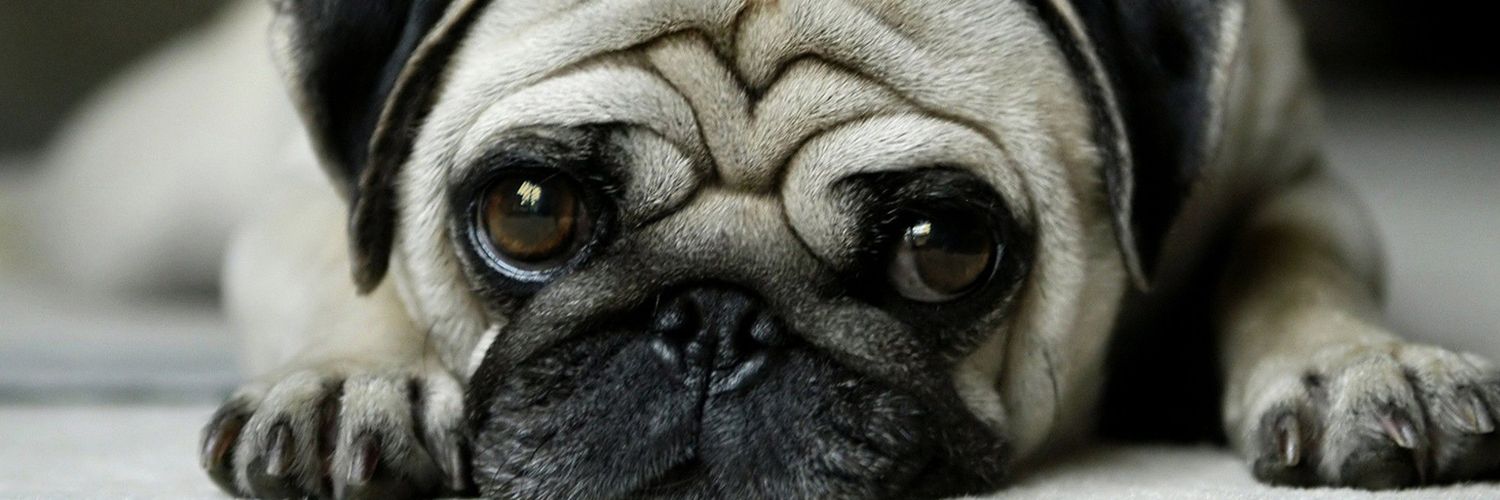 eransom37's profile banner image