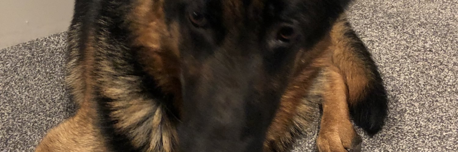 danmorrishmfc's profile banner image