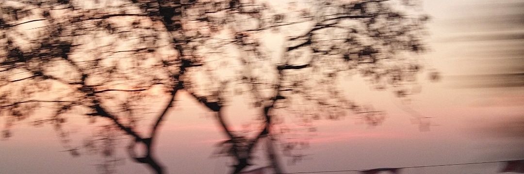 sandralexandr's profile banner image