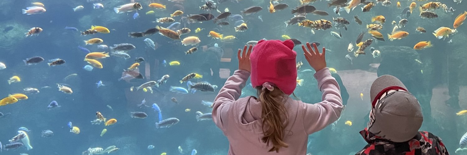 Andrew Tumilty banner