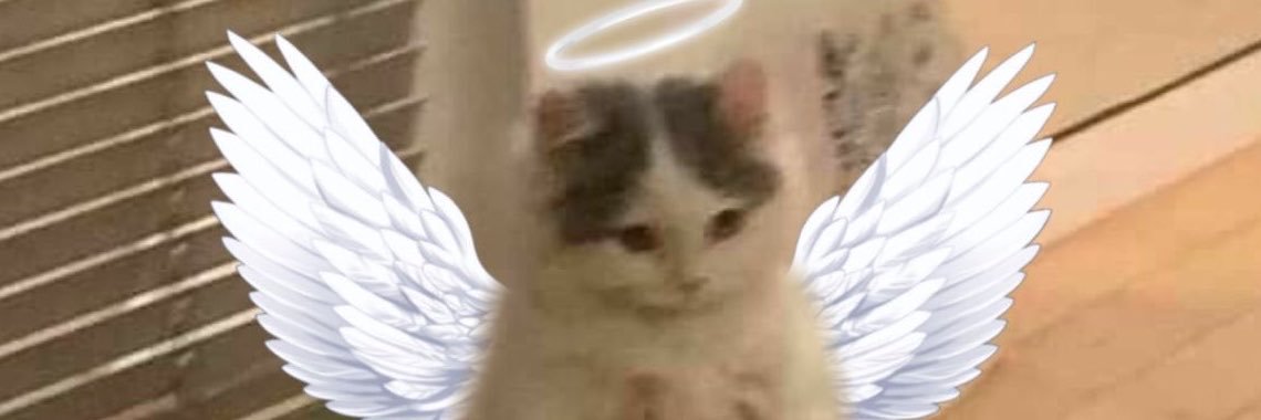 IssaTentacion's profile banner image