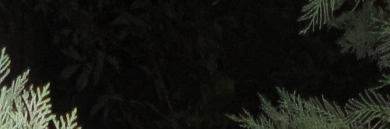 BLTWR's profile banner image