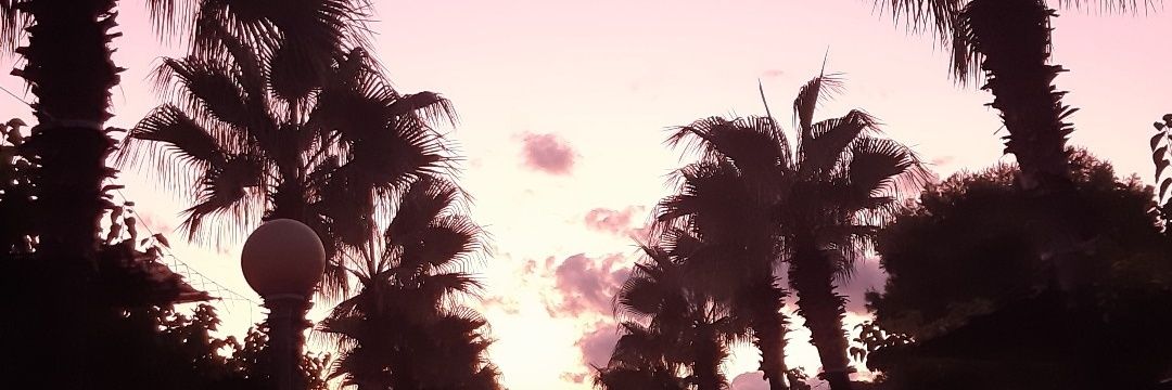 martitarv20's profile banner image