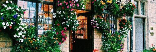 linette banner