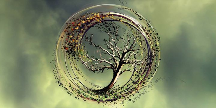 AdriaGoRo's profile banner image