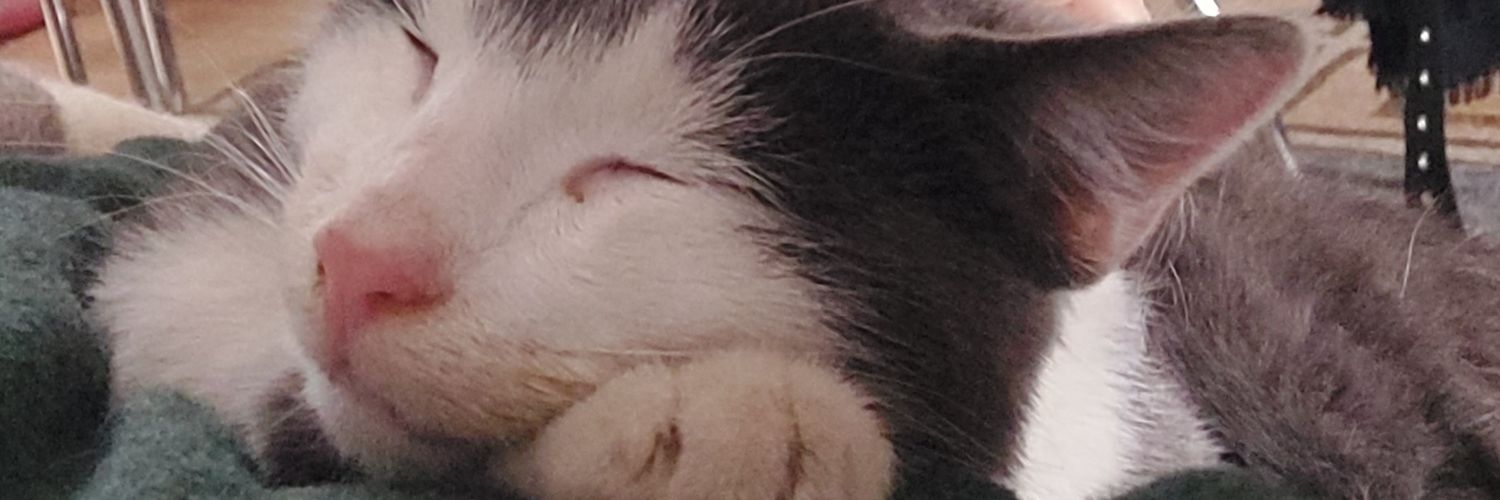 solobobohu's profile banner image