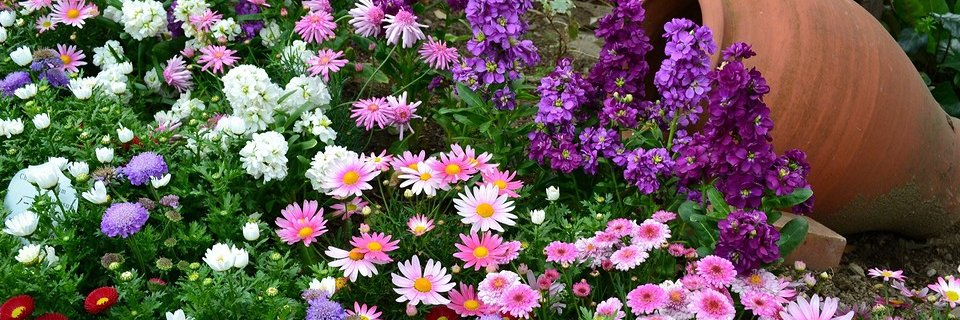 Margare_Patel87's profile banner image