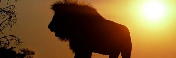 arslanby8's profile banner image