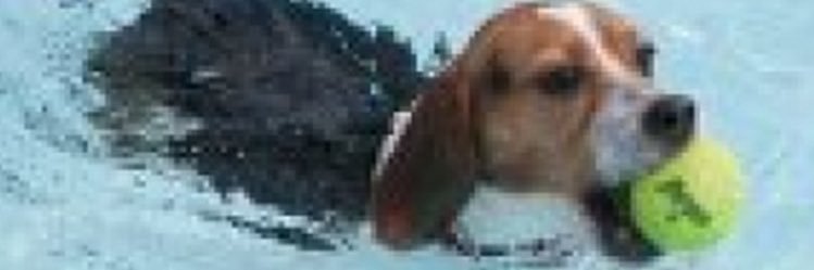 ben_groepper3's profile banner image