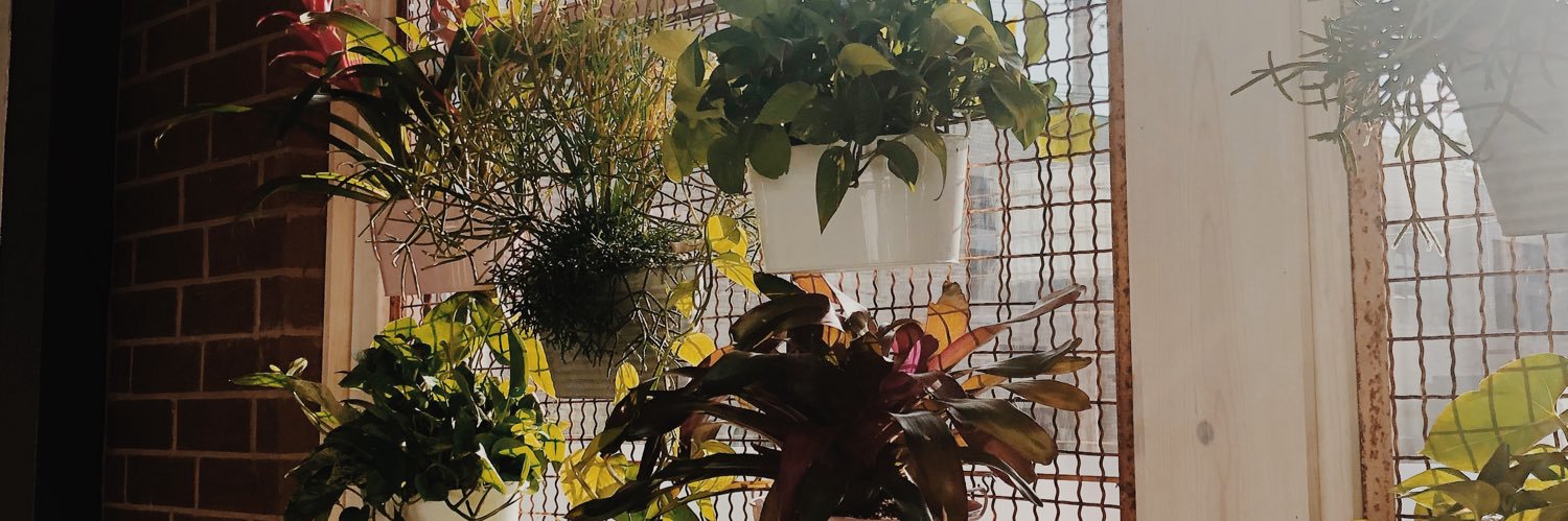 abbytuggle_'s profile banner image