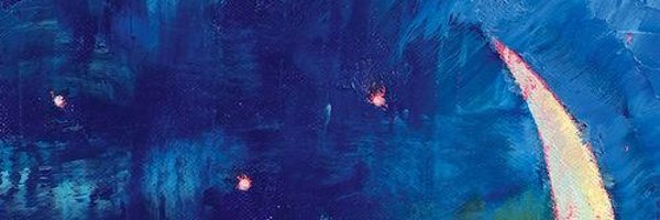 hackcoons Profile Banner
